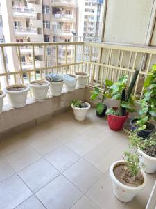 Balcony Image of 1495 Sq.ft 3 BHK Apartment / Flat for sale in Amrapali Platinum, Sector 119 Noida for Rs. 13900000