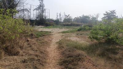 Image of 93108 Sq.ft 4 BHK Farm House for sale in Morjim, Goa for Rs. 1100000000