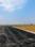 Sulur Main Image 1