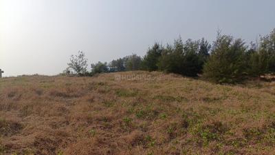 Image of 93108 Sq.ft 4 BHK Farm House for sale in Morjim, Goa for Rs. 1100000000