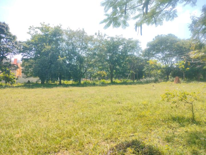 Nandanavana layout Plot View 1