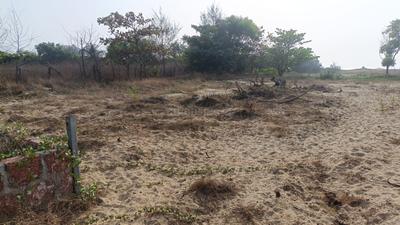 Image of 93108 Sq.ft 4 BHK Farm House for sale in Morjim, Goa for Rs. 1100000000