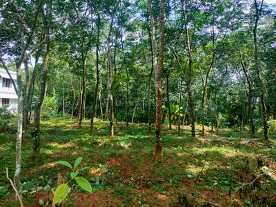 Image of 8712 Sq.ft Residential Plot / Land for sale in Kottarakkara, Kollam for Rs. 100000