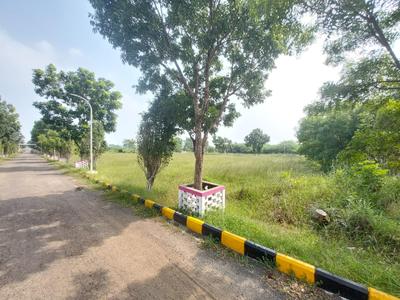 Image of 1200 Sq.ft Residential Plot / Land for sale in Thandalam, Chennai for Rs. 4000000