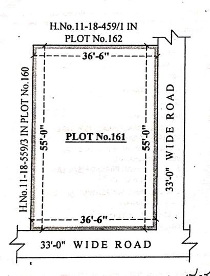 O City Main Image 1