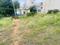 Madanayakahalli Plot View 2