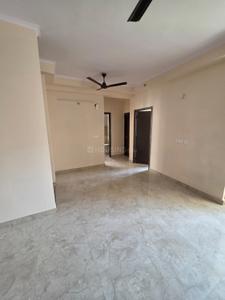 Hall Image of 585 Sq.ft 1 BHK Apartment / Flat for rent in Amrapali Dream Valley 2, Noida Extension Greater Noida for Rs. 17000