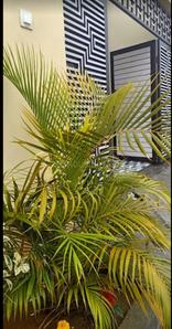 Image of MOOL ROOMS in Amritsar Cantonment, Amritsar