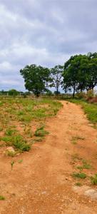 Image of 7260 Sq.ft Residential Plot / Land for sale in Tukkuguda, Hyderabad for Rs. 210000000