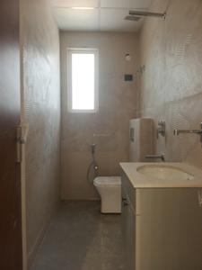 Common Bathroom Image of 1250 Sq.ft 2 BHK Apartment / Flat for sale in Trinity Casa View Apartment 4, Noida Extension Greater Noida for Rs. 4750500