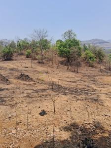 Residential Plot