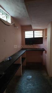 Kitchen Image of 600 Sq.ft 1 BHK Apartment / Flat for rent in Karumandapam Tiruchirappalli for Rs. 7000