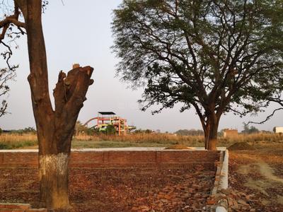 Image of 1000 Sq.ft Residential Plot / Land for sale in Bamrauli, Allahabad for Rs. 1200000
