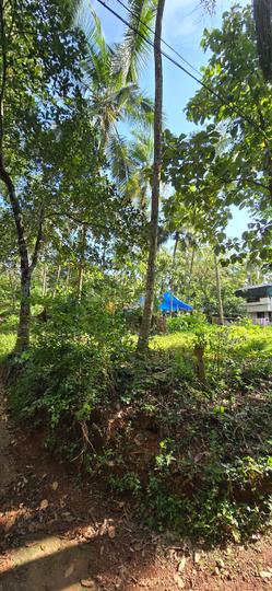 Chevarambalam Main Image 1