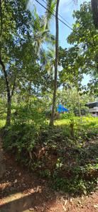 Chevarambalam Plot View 1