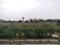 Sector 77 Plot View 1