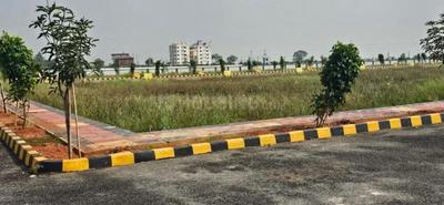 Block 2 Plot View 2