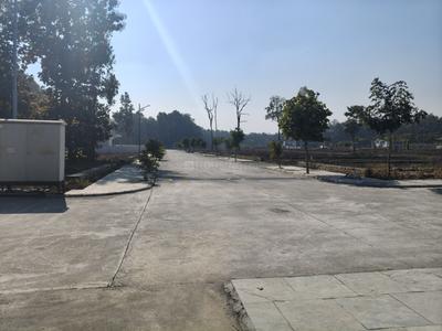 Dishaa Forest Plot View 3