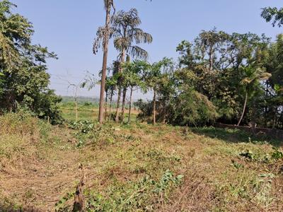 Image of 3250 Sq.ft Residential Plot / Land for sale in Aldona, Goa for Rs. 178750000