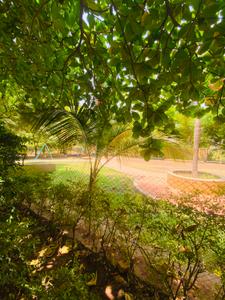 Image of 1000 Sq.ft 2 BHK Apartment / Flat for sale in Goel Estoria, Undri, Pune for Rs. 6500000