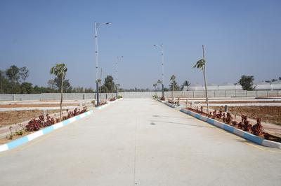 Indlawadi Plot View 3