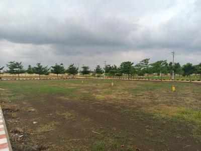 Hampton Palm Plot View 1