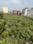 Maruti Kunj Plot View 2