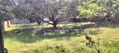 shivganga mangotree farmhouse Plot View 3