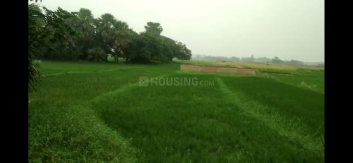 Neoraganj Main Image 1