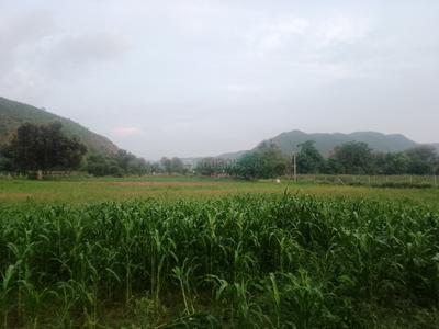Kotputli Plot View 3