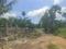 Diamond Park, Joka Main Image 1