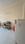 Hall Image of Shree Residency  in Omega II Greater Noida, Greater Noida