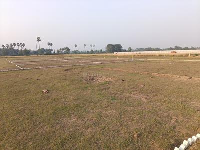 Bihta Plot View 2
