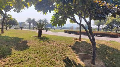 Image of 9000 Sq.ft 1 BHK Farm House for sale in Manesar, Gurgaon for Rs. 20000000