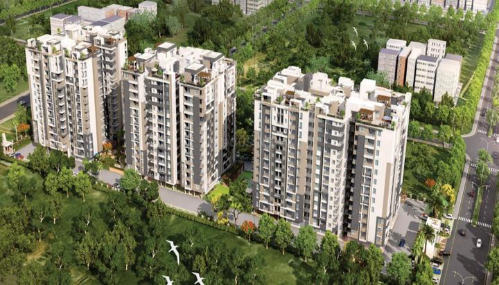 VN Exclusive 444 Main Image 1