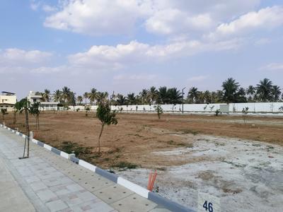 Residential Plot