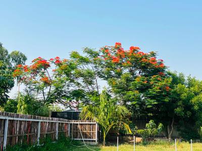 Image of 9072 Sq.ft 1 RK Farm House for sale in SS Sainik Farms, Sector 150, Noida for Rs. 7500000