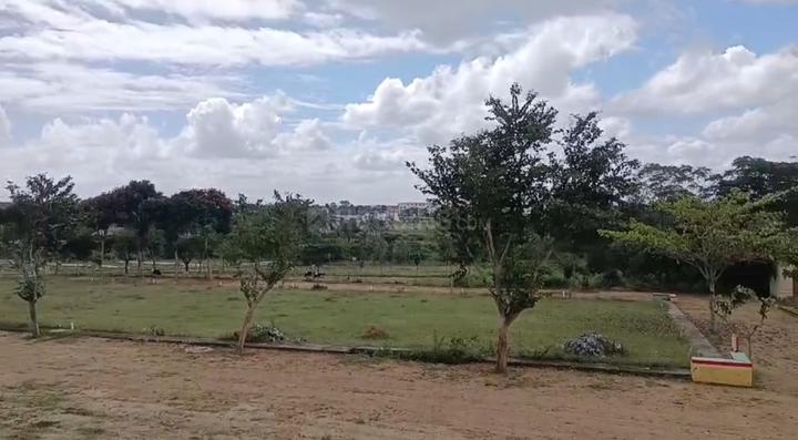 Yelwala  Main Image 1