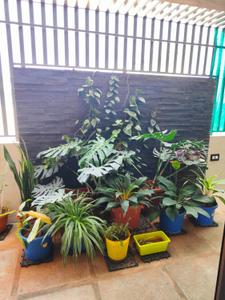 Balcony Image of 5900 Sq.ft 4 BHK Independent House for sale in Sathgalli Mysore for Rs. 31000000
