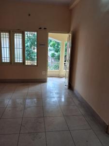 Hall Image of 1100 Sq.ft 2 BHK Independent House for rent in Avanti Vihar Raipur for Rs. 15000