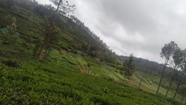 Kotagiri Main Image 1