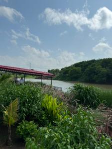 Image of 5000 Sq.ft Residential Plot / Land for sale in Kshipra, Dewas for Rs. 7000000