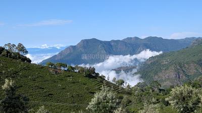 Image of 9000 Sq.ft Residential Plot / Land for sale in Kotagiri, Ooty for Rs. 6195000