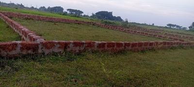 Hanspal Plot View 2