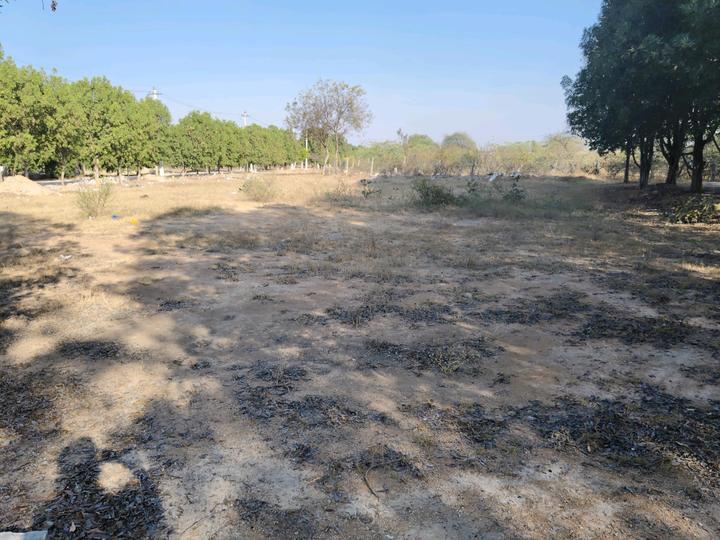 Tukkuguda Main Image 1