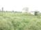 Kharkhoda Plot View 2