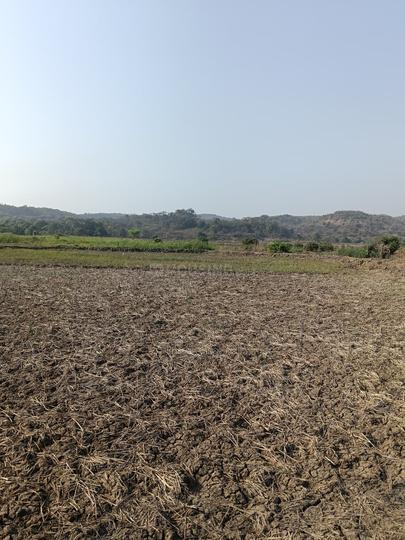 Mahamumbai Plots In Sarde Main Image 1