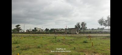 Boraj Plot View 2