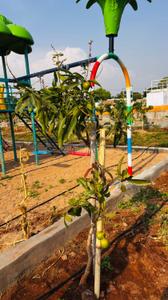 Image of 1800 Sq.ft Residential Plot / Land for sale in Vikarabad Town, Vikarabad for Rs. 2100000