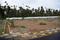Chinnavedampatti Plot View 2